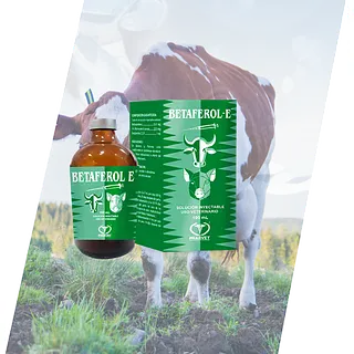 Betaferol-E Solución Inyectable