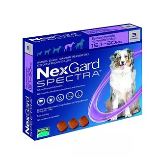 Nexgard Spectra Antiparasitario