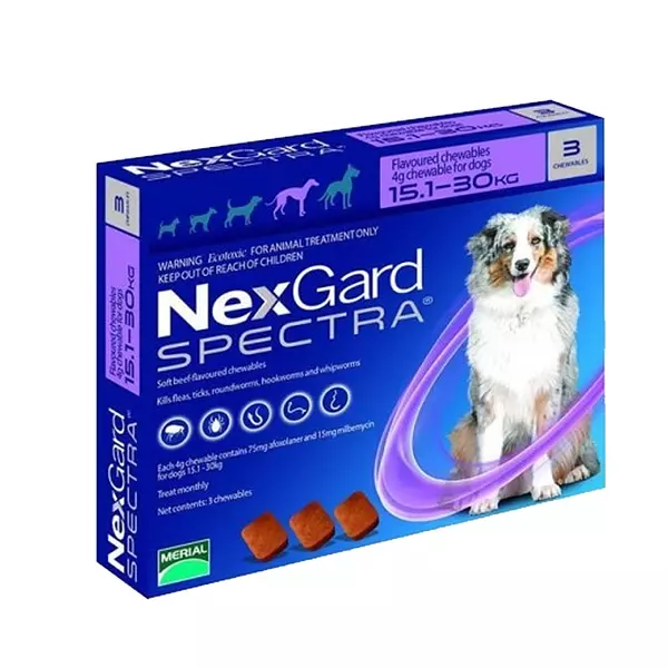 Nexgard Spectra Antiparasitario