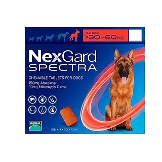 Nexgard Spectra Antiparasitario