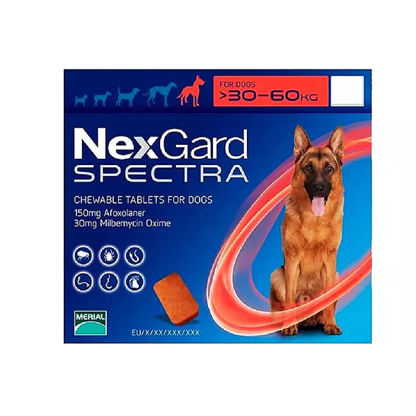 Nexgard Spectra Antiparasitario