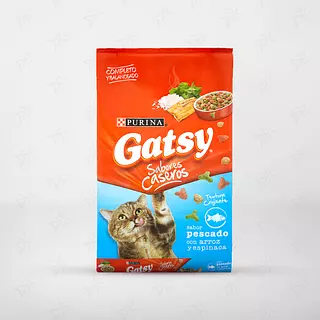Gatsy 