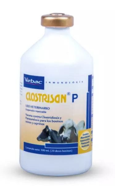 Clostrisan P X 100 Ml X 20 Dosis