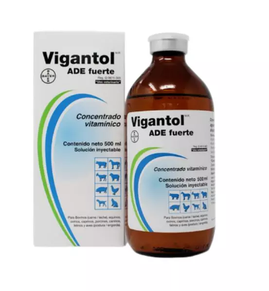 Vigantol Ade X 250ml