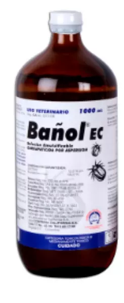 Bañol