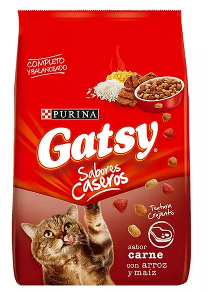 Gatsy