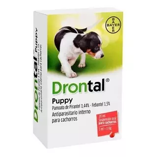 Drontal Cachorros