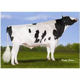 Semex Jett Air