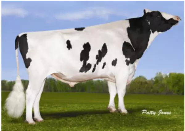 Semex Jett Air