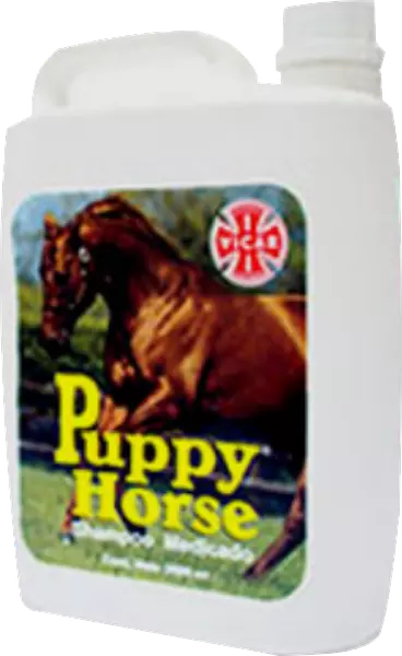 Puppy Horse