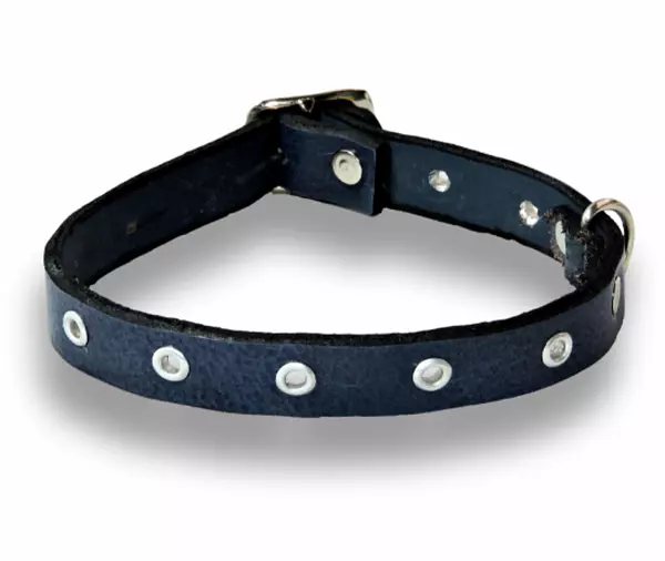 Collar Cuero Tache Redondo 2 L