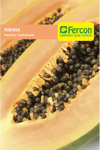 Papaya