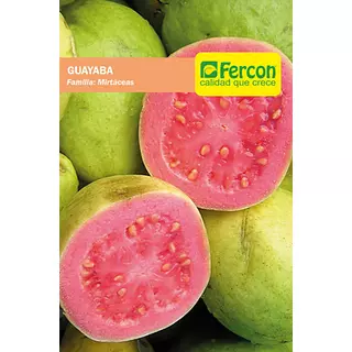 Guayaba