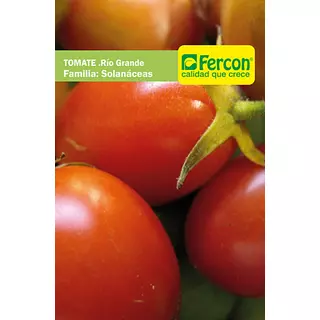 Tomate Rio Grande