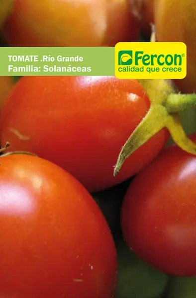 Tomate Rio Grande