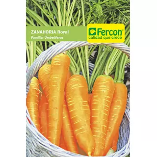 Zanahoria Royal Chantenay