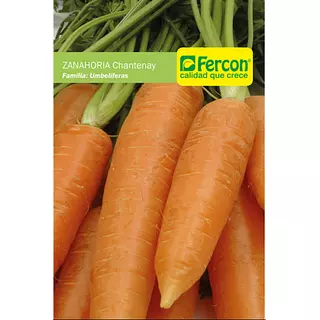 Zanahoria Chantenay Red Cored