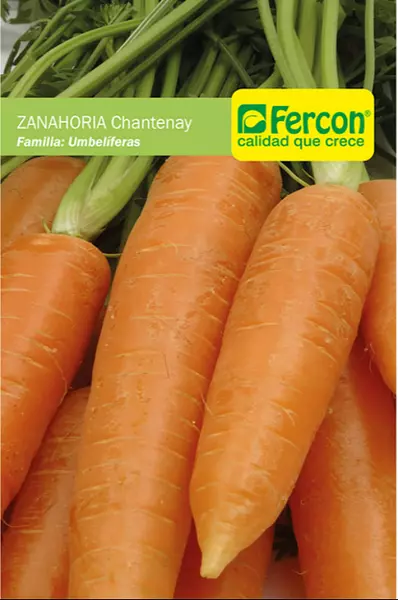 Zanahoria Chantenay Red Cored