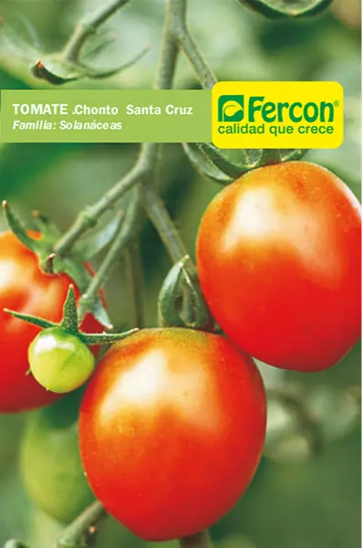 Tomate Chonto Santa Cruz