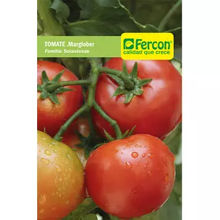 Tomate Marglober