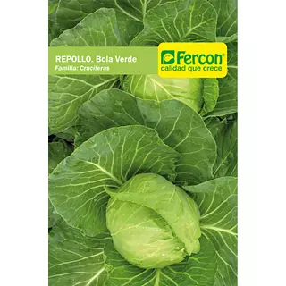 Repollo Bola Verde