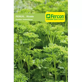 Perejil Rizado