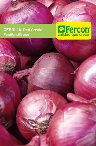 Cebolla Roja Red Creole