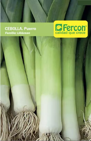 Cebolla Puerro Carentan