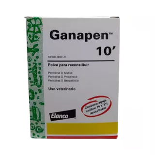 Ganapen 10