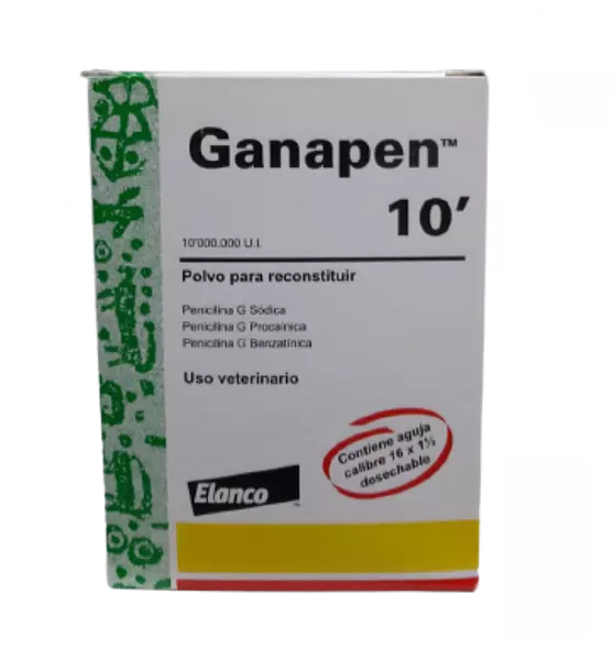 Ganapen 10