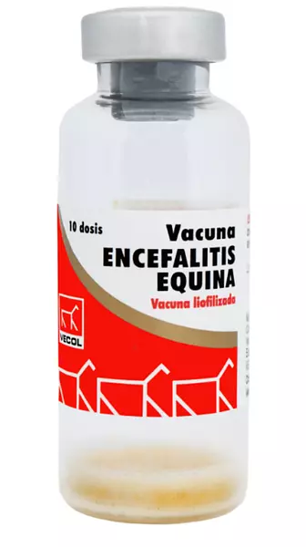 Encefalitis Equina