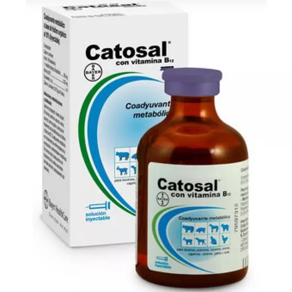 Catosal B12 X 100 Ml