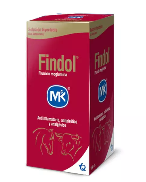 Findol