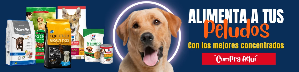 El Mejor Alimento, Purina o Concentrado para Perro