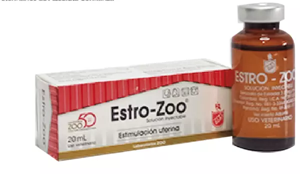 Estro Zoo