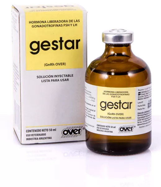 Gestar