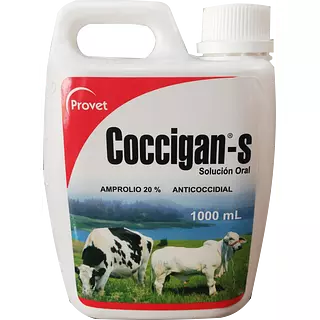 Coccigan