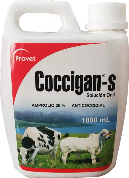 Coccigan