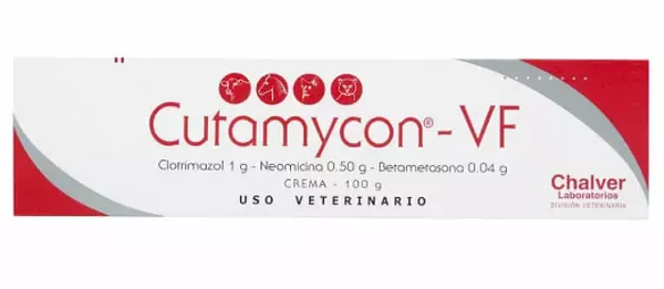 Cutamycon