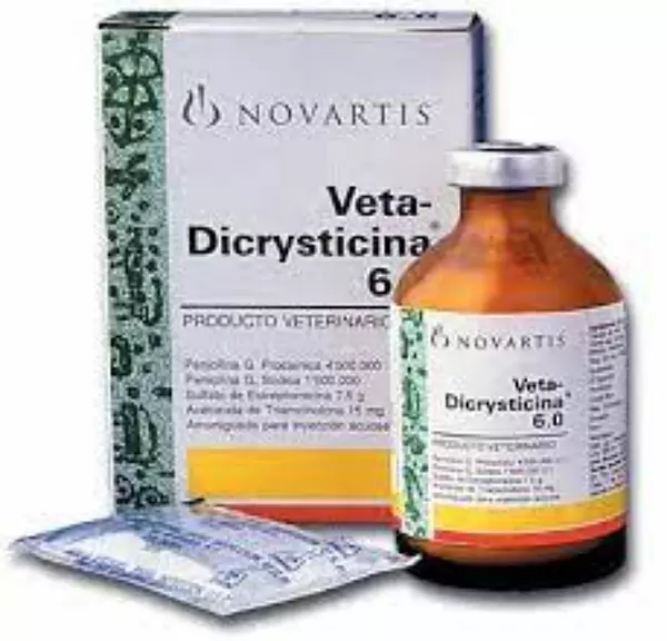 Veta-Dicrysticina 6