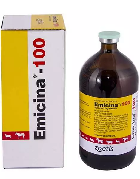 Emicina