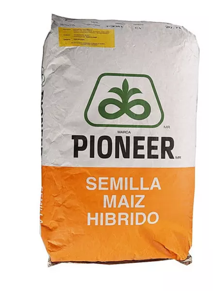 Maiz Pioneer 30k73hr