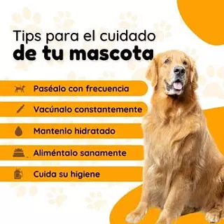 Cuidado para Tus Mascotas 🦮🐾
